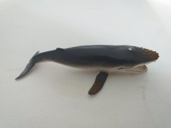 Petite baleine deviendra grande…
